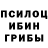 Псилоцибиновые грибы Cubensis FairEnds