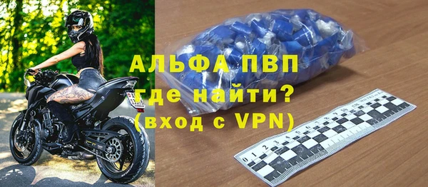 эйфоретик Инта