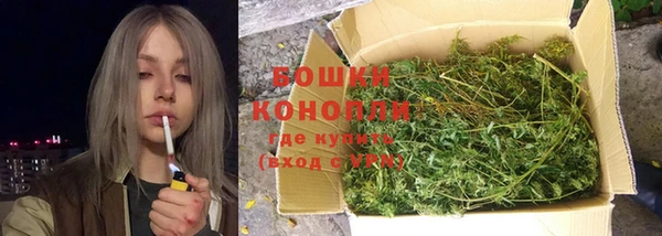 эйфоретик Инта