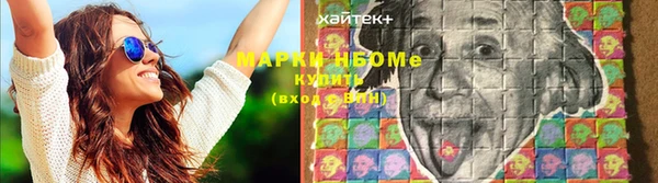 эйфоретик Инта