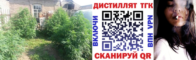 ТГК гашишное масло Мензелинск